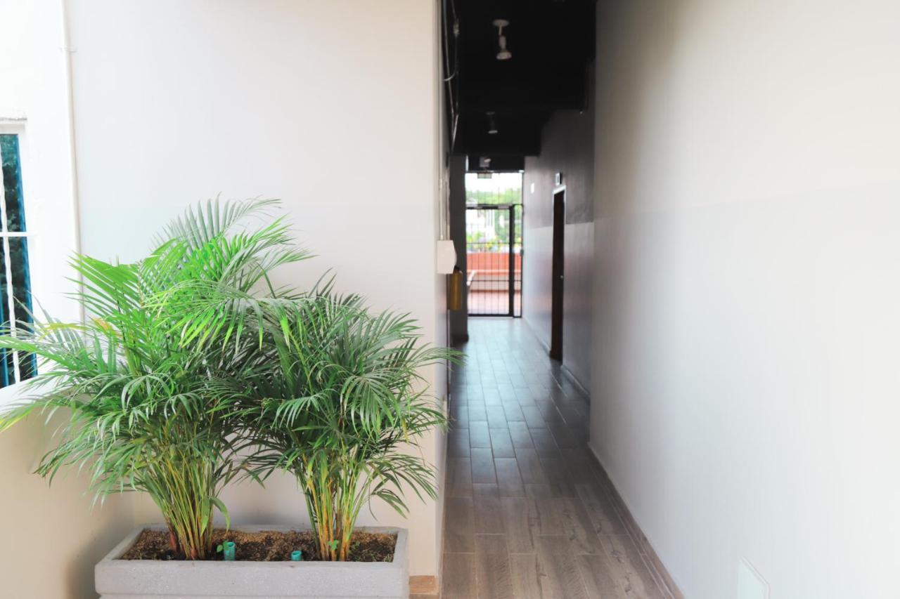Auberge de jeunesse Casamar Santa Marta (Magdalena)