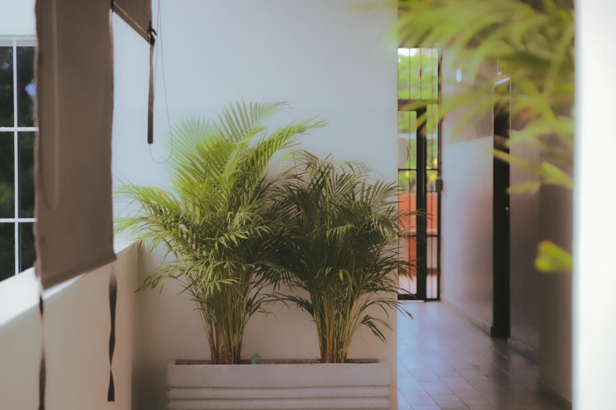 Casamar Auberge de jeunesse *